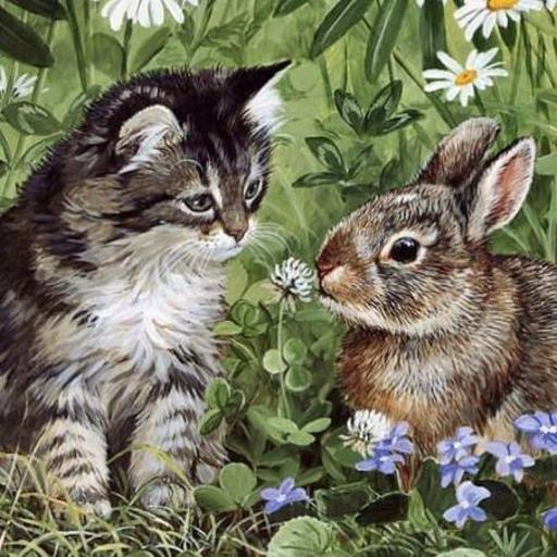 a cat and a rabbit